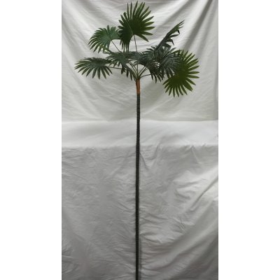 HOJAS PALMERA 1,60 M