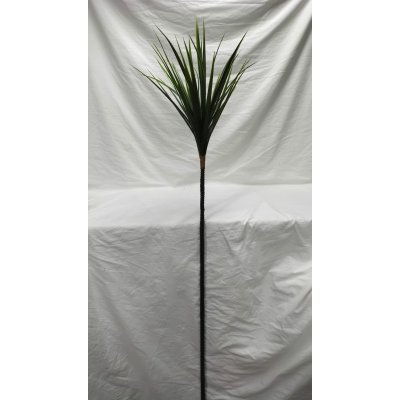 RAMA HOJA LARGA 2 COL  160 CM