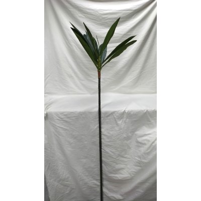 RAMA PALO DE AGUA 160CM